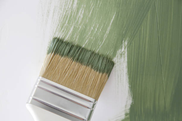 Best Environmental Consulting for Mold Prevention  in Perham, MN