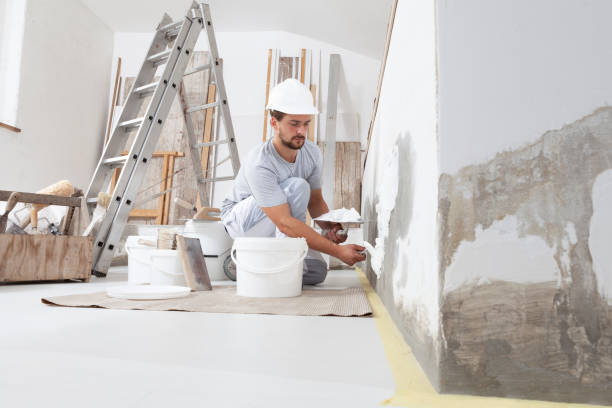 Best HVAC Mold Inspection and Cleaning  in Perham, MN