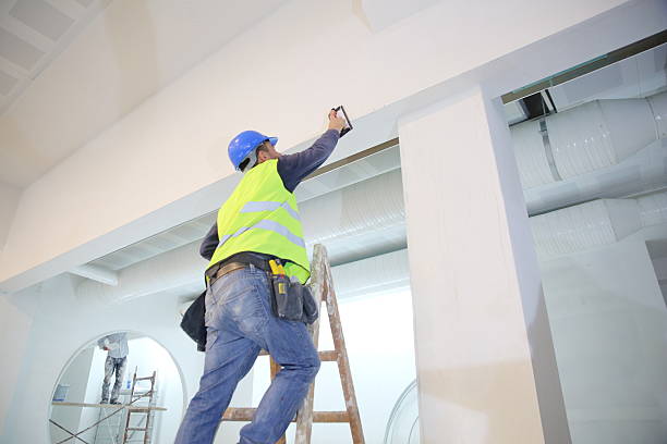  Perham, MN Mold Removal Pros