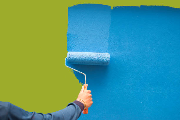 Best Mold Removal for HVAC Installations  in Perham, MN